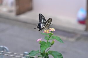 神戸で保育士が異業種への転職を成功させるためのポイントは？
