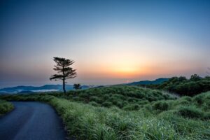 兵庫県神戸市で夜勤なしの保育士求人はどこで探せる？