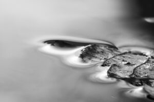 キララサポートが提供する神戸の保育士求人はどのようなものですか？