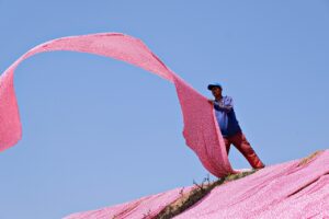 保育士ワーカーが選ぶ神戸の求人情報は？