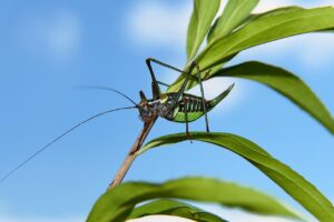 保育士無資格から資格を取得する方法は？