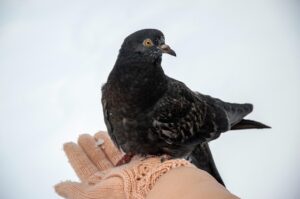 保育士が転職する際に退職前にやることは？